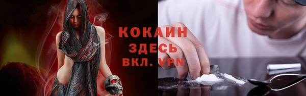 PSILOCYBIN Ладушкин